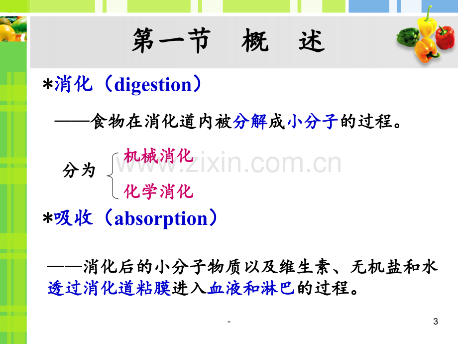 15-7-消化系统PPT课件.ppt_第3页