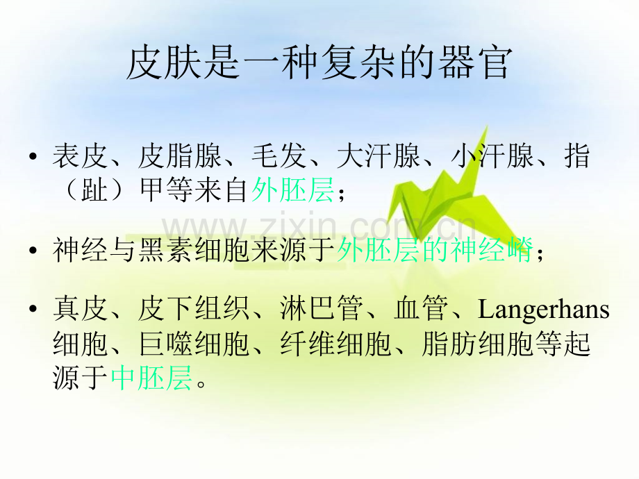 小儿皮肤病用药.ppt_第2页