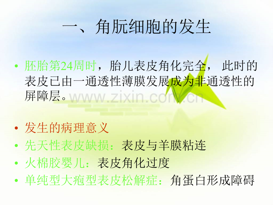 小儿皮肤病用药.ppt_第3页