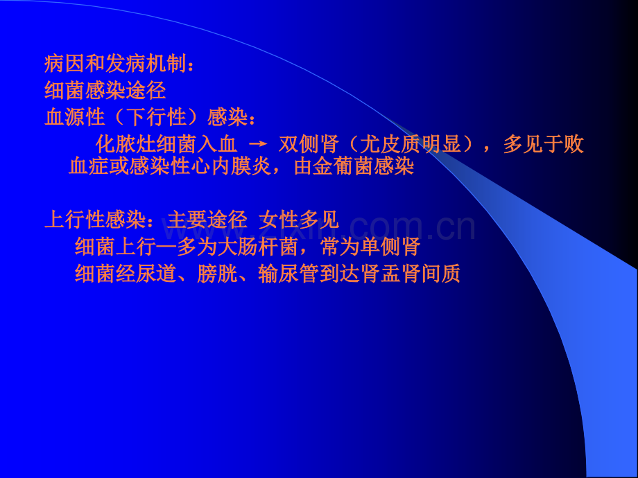 爱的泌尿ppt课件.ppt_第3页