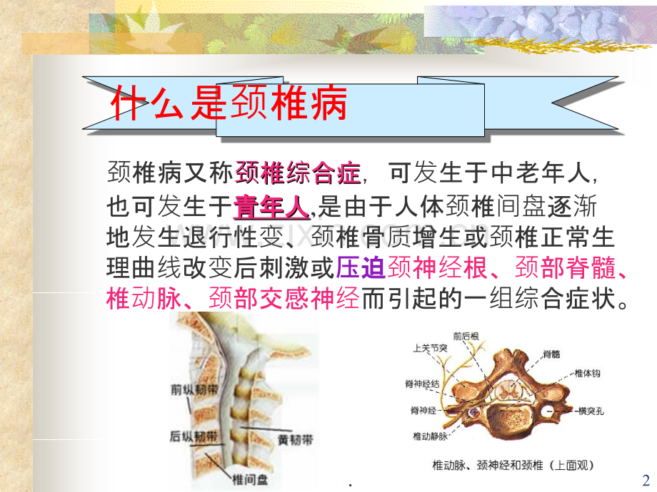 办公室工作人员如何预防颈椎病PPT课件.ppt_第2页