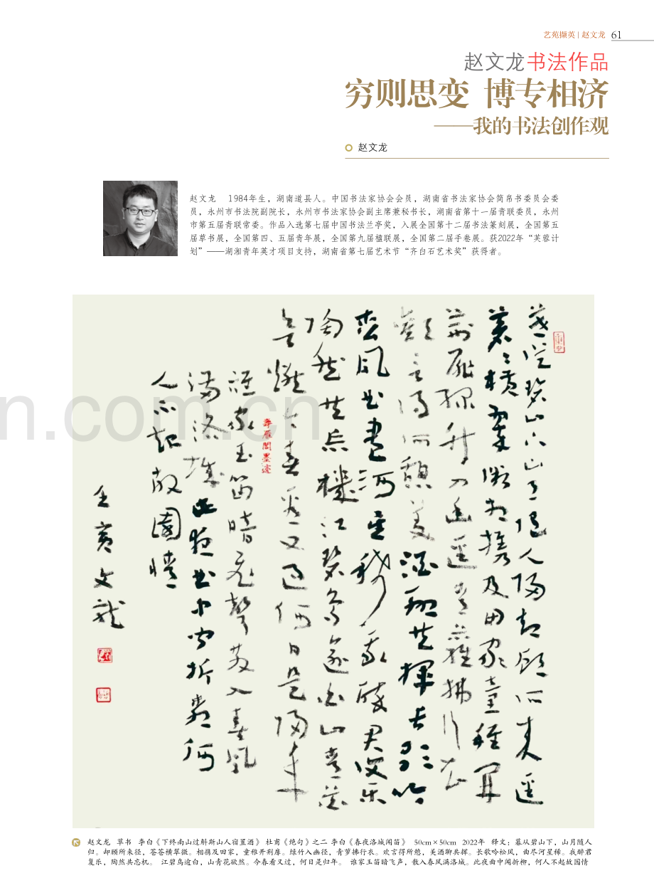 赵文龙书法作品 穷则思变 博专相济——我的书法创作观.pdf_第1页