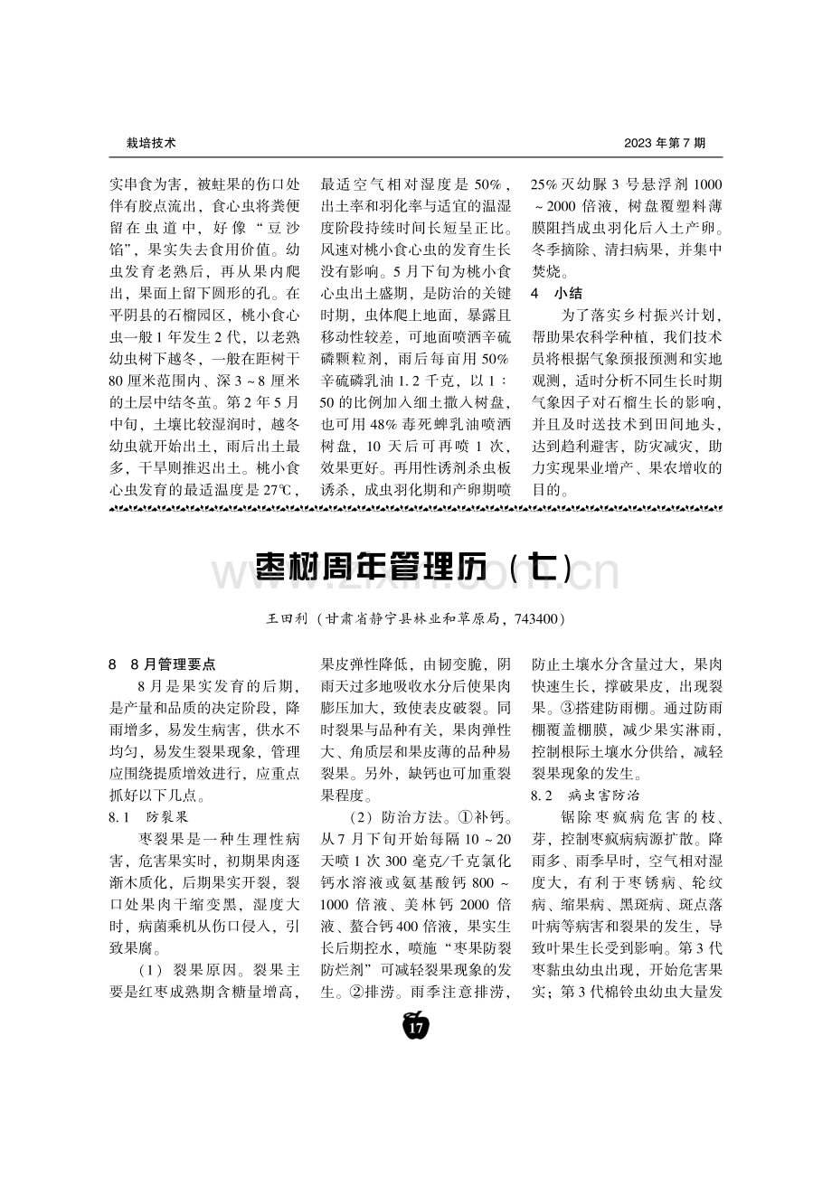 枣树周年管理历（七）.pdf_第1页