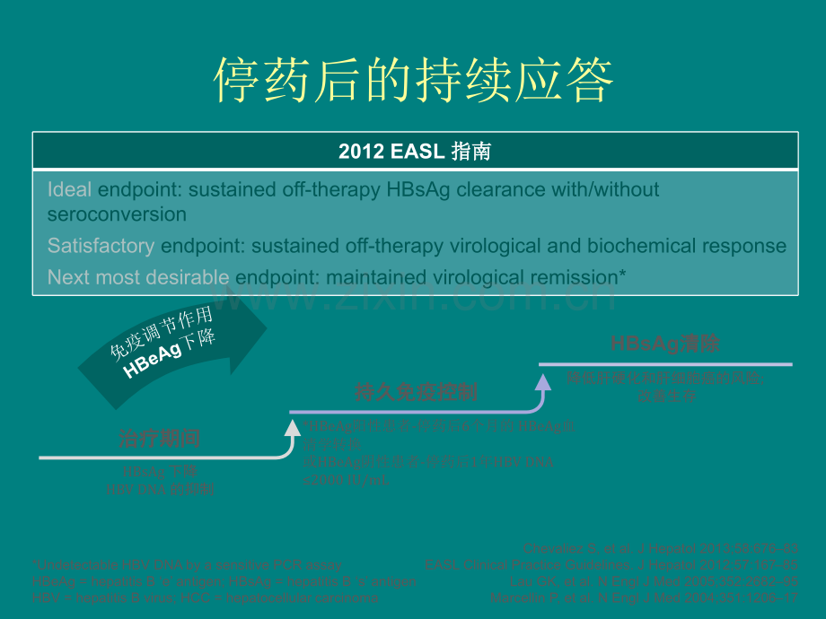 乙肝——慢性乙型肝炎的有限疗程与持续治疗.pptx_第2页