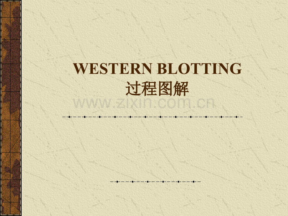 WB步骤详解.ppt_第1页