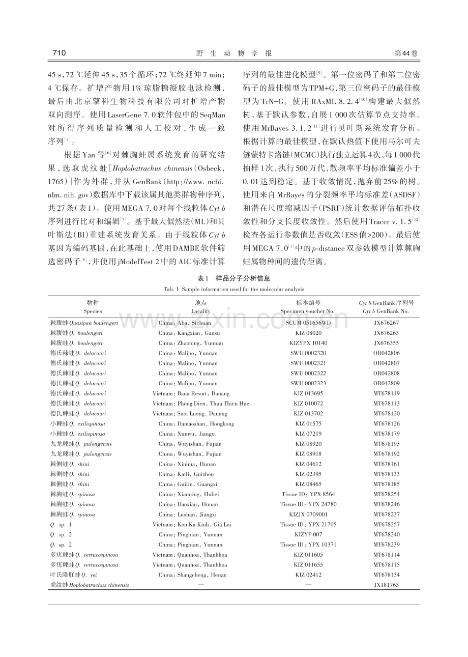 中国两栖类物种新纪录——德氏棘蛙.pdf_第3页