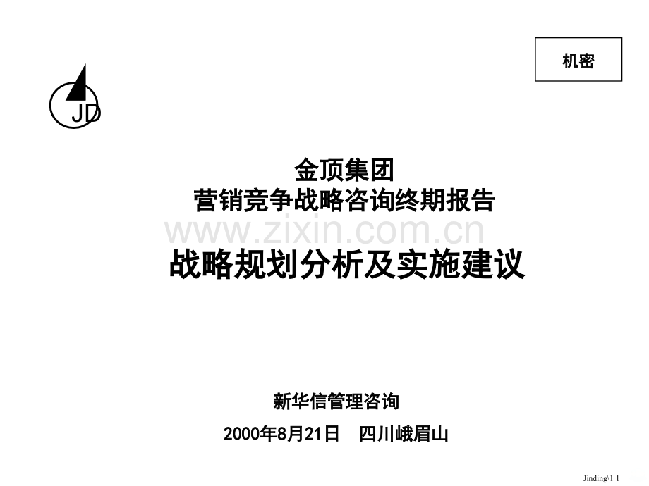 营销战略终期报告PPT课件.ppt_第1页