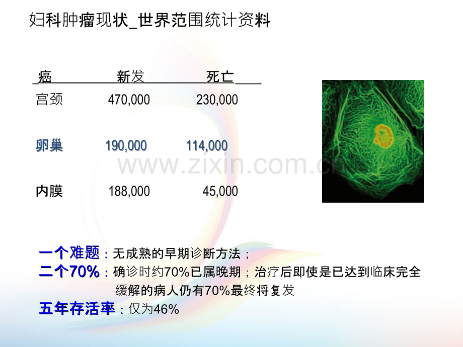 HE4全新的卵巢癌标志物.ppt_第3页