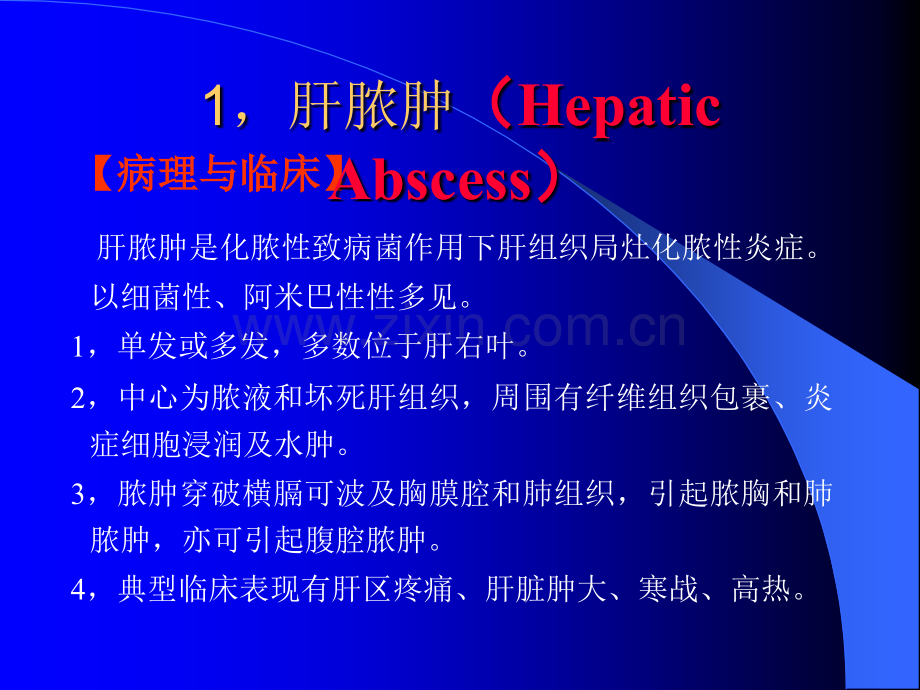 肝脓肿的影像学诊断ppt课件.ppt_第2页