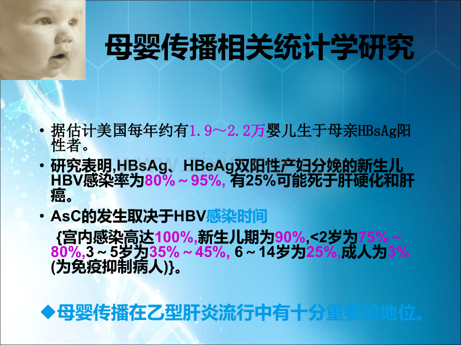 乙型肝炎病毒母婴传播及其阻断.ppt_第2页