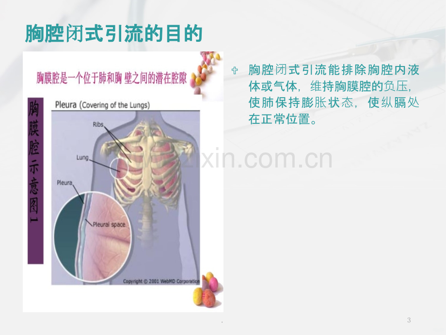 胸腔闭式引流的护理及注意事项PPT课件.ppt_第3页