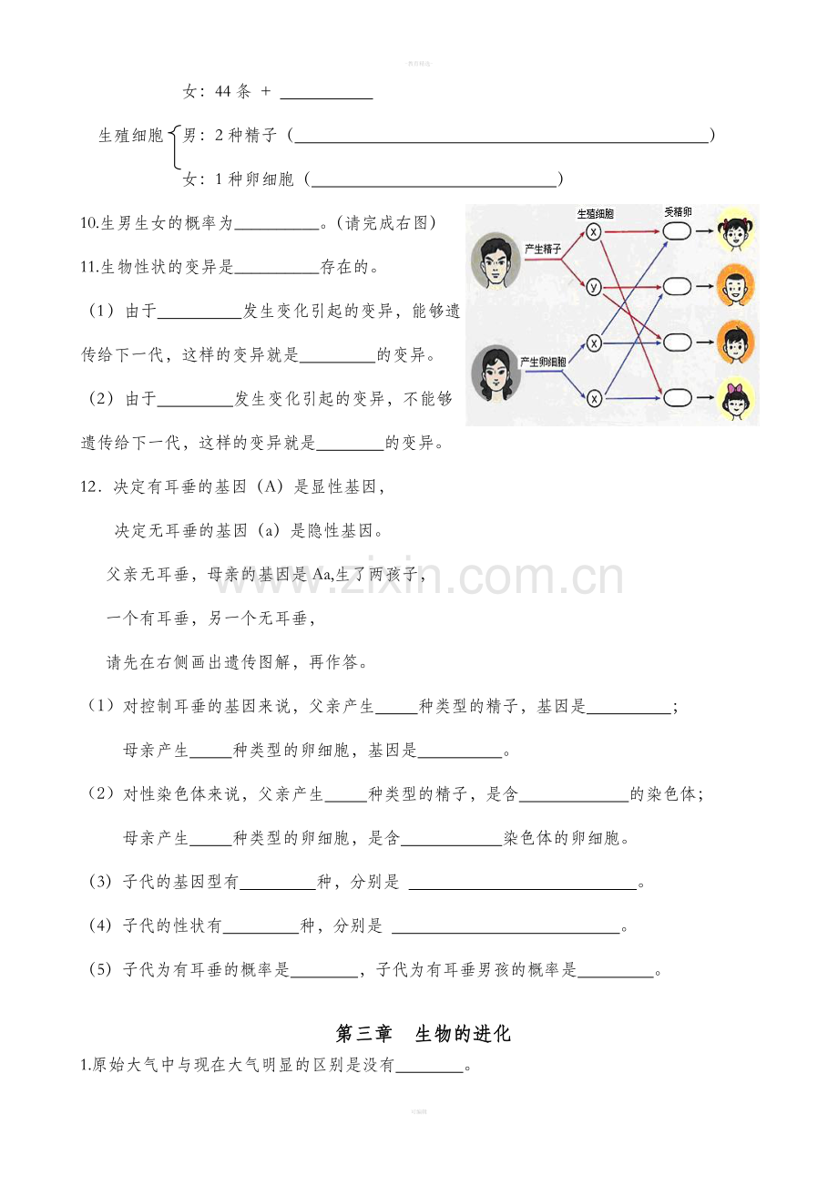 人教版八年级生物下册核心知识点填空.doc_第3页