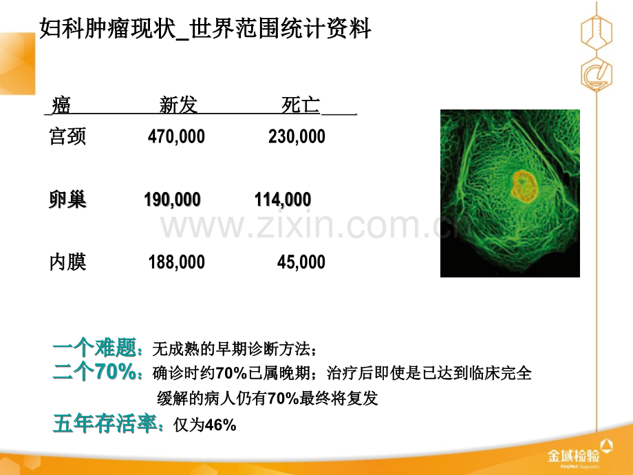 HE全新的卵巢癌标志物ppt课件.ppt_第3页