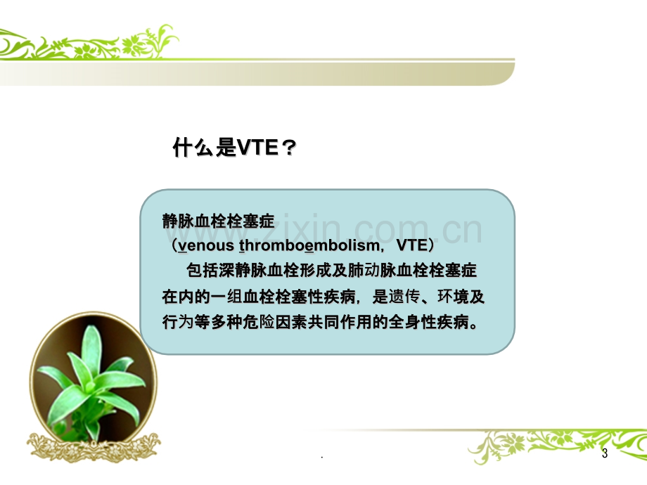 VET的防治ppt课件.pptx_第3页