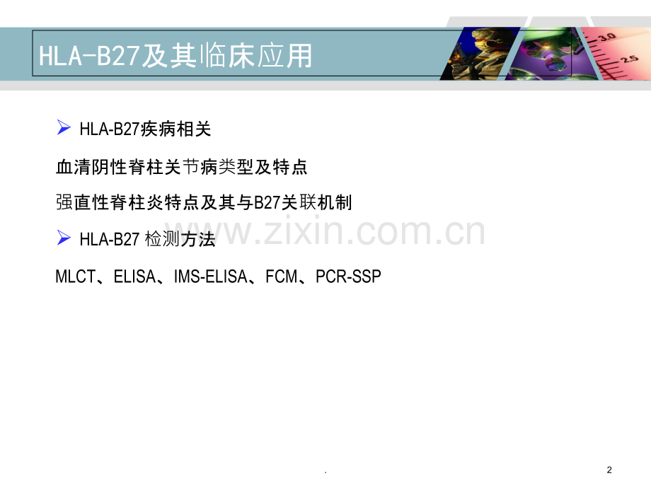 HLAB检测及其临床应用ppt课件.ppt_第2页