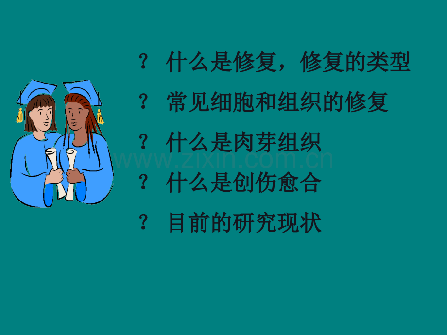 7版病理学课件-损伤与修复剖析ppt课件.ppt_第2页