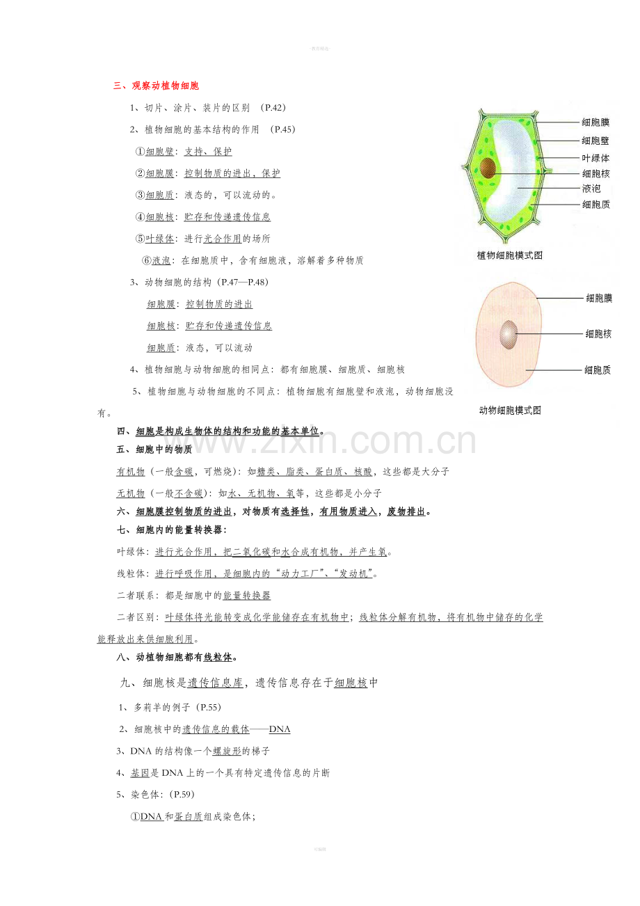 七年级上册生物第二单元重要知识点.doc_第2页