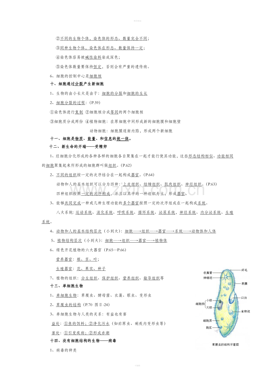 七年级上册生物第二单元重要知识点.doc_第3页