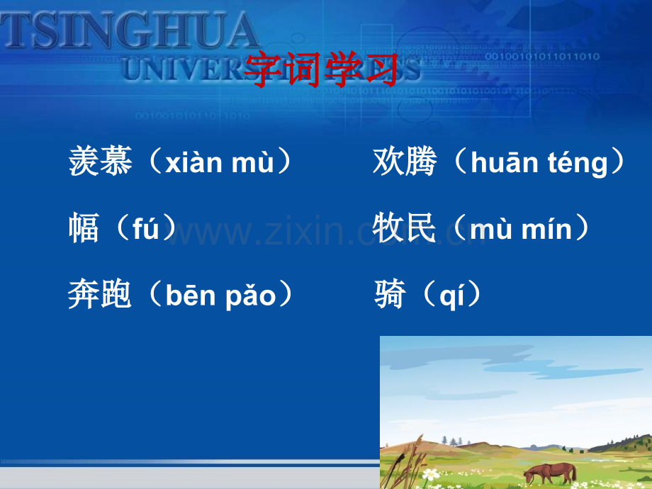 《美丽的草原》课件.ppt_第2页