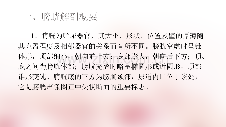 膀胱肿瘤的超声诊断及鉴别诊断ppt课件.ppt_第2页