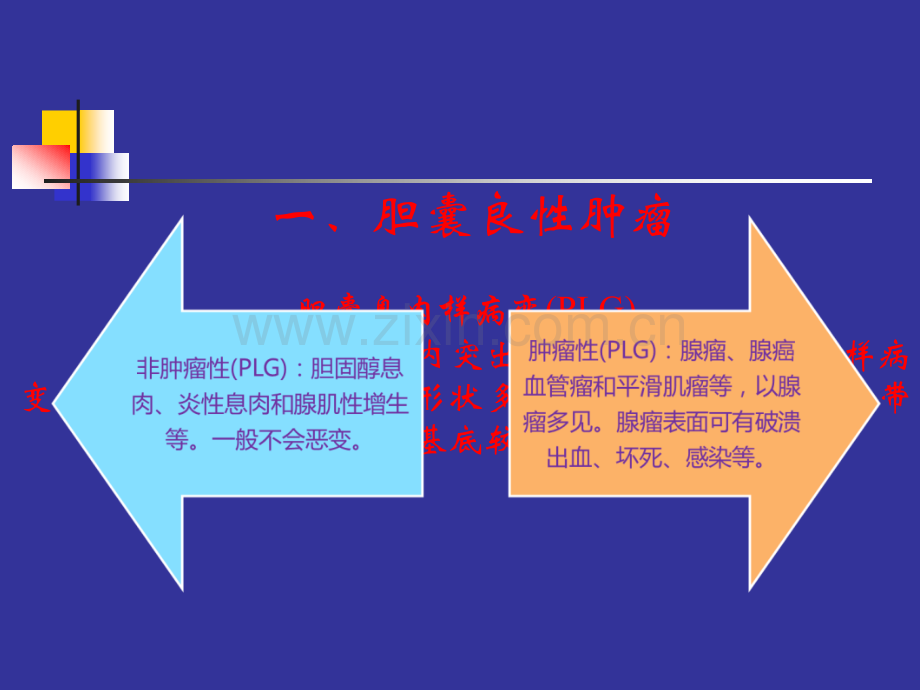 胆囊肿瘤.ppt_第2页