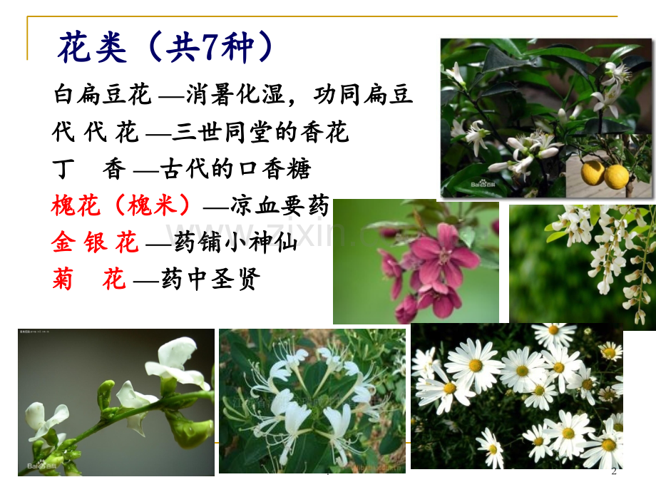 第四章-花类资源PPT课件.ppt_第2页