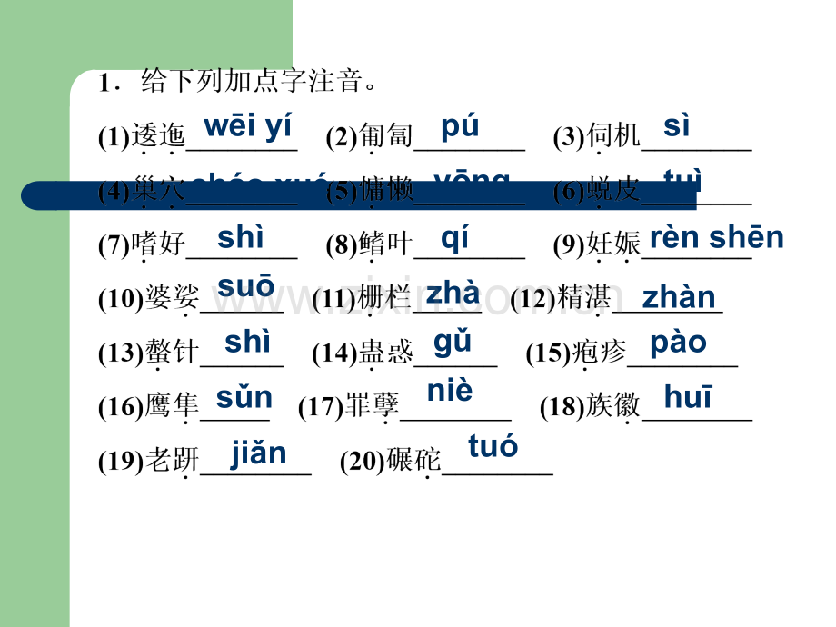 斑纹--优秀课件.ppt_第2页