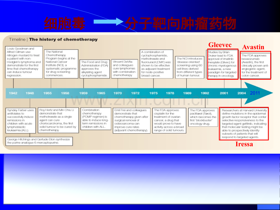 分子靶向抗肿瘤药物十ppt课件.ppt_第2页