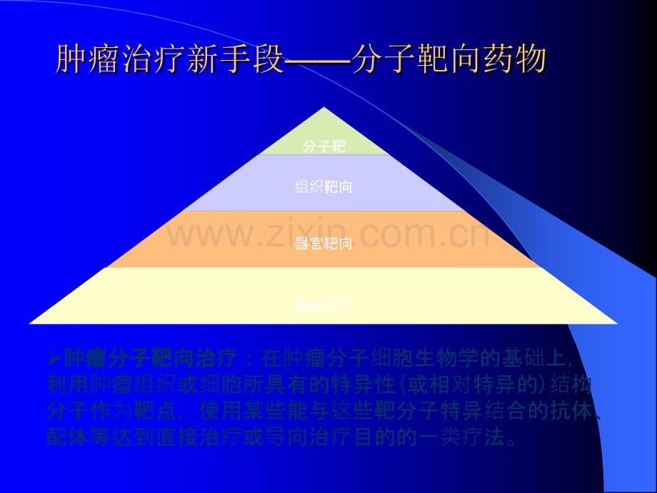 分子靶向抗肿瘤药物十ppt课件.ppt_第3页