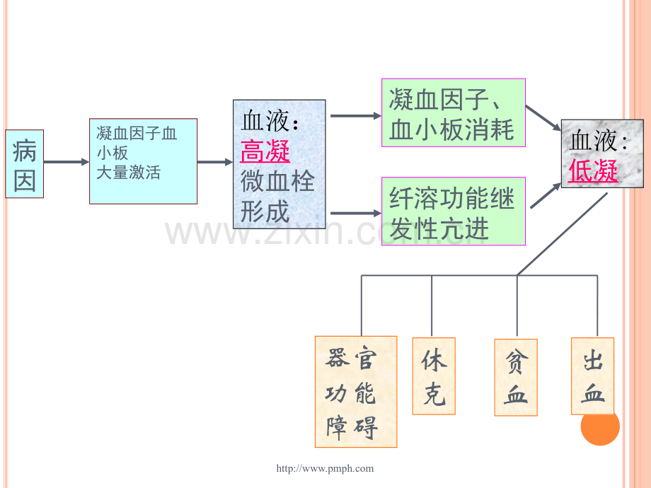 病理生理-.DIC.ppt_第3页