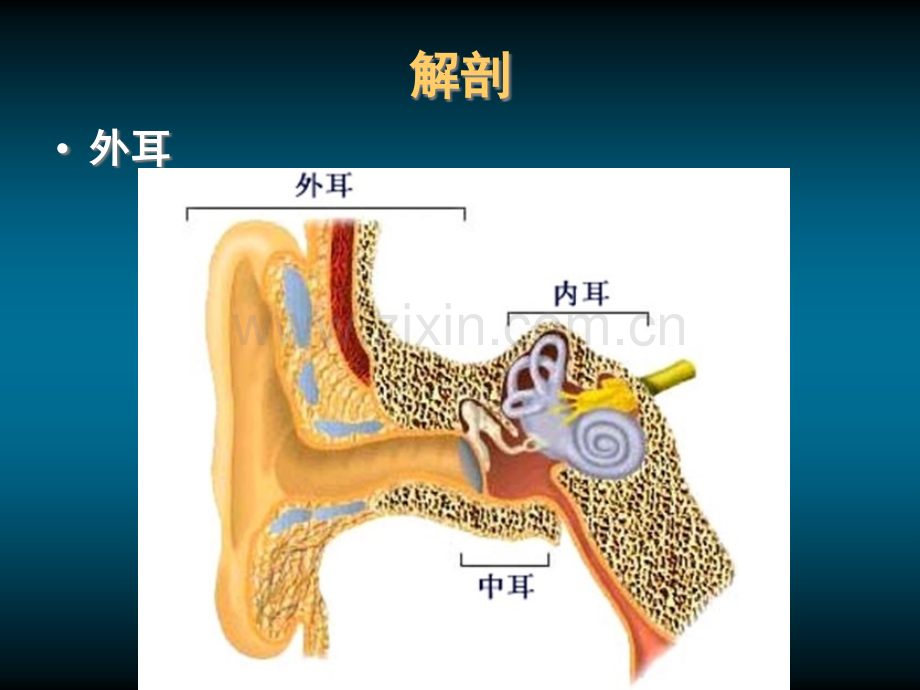 耳颞部解剖及常见疾病诊断CT.ppt_第3页