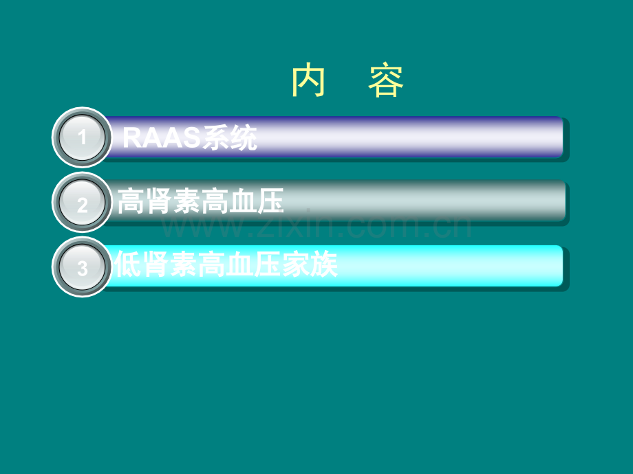 RAAS与高血压-ppt课件.ppt_第2页