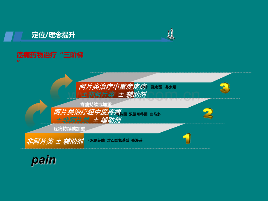 PCA镇痛技术在难治性癌痛治疗中的应用.ppt_第2页