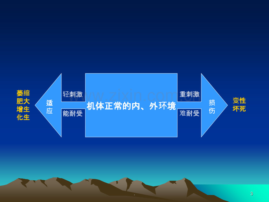 细胞和组织的适应与损伤PPT课件.ppt_第3页