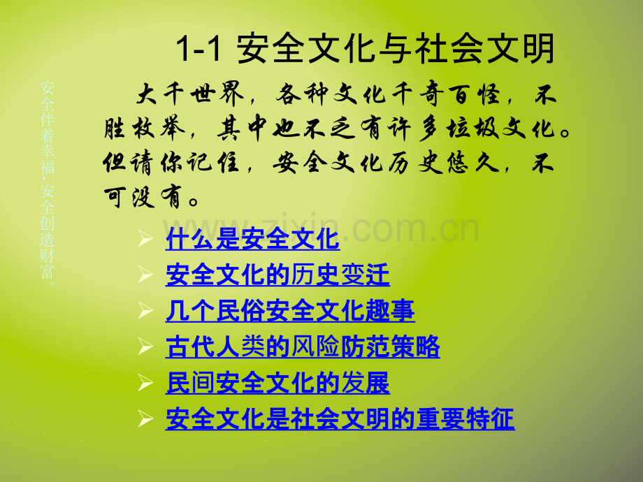 安全文化与安全.ppt_第3页