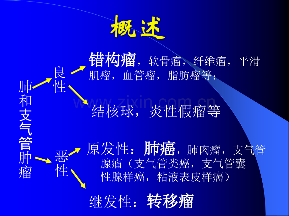 肺和支气管肿瘤ppt课件.ppt_第3页