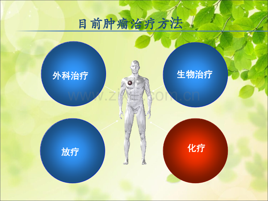 常用化疗药物规范使用ppt课件.ppt_第3页