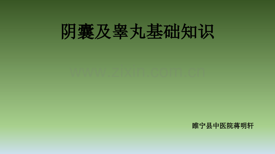 睾丸基础知识交流--归类整理ppt课件.pptx_第1页