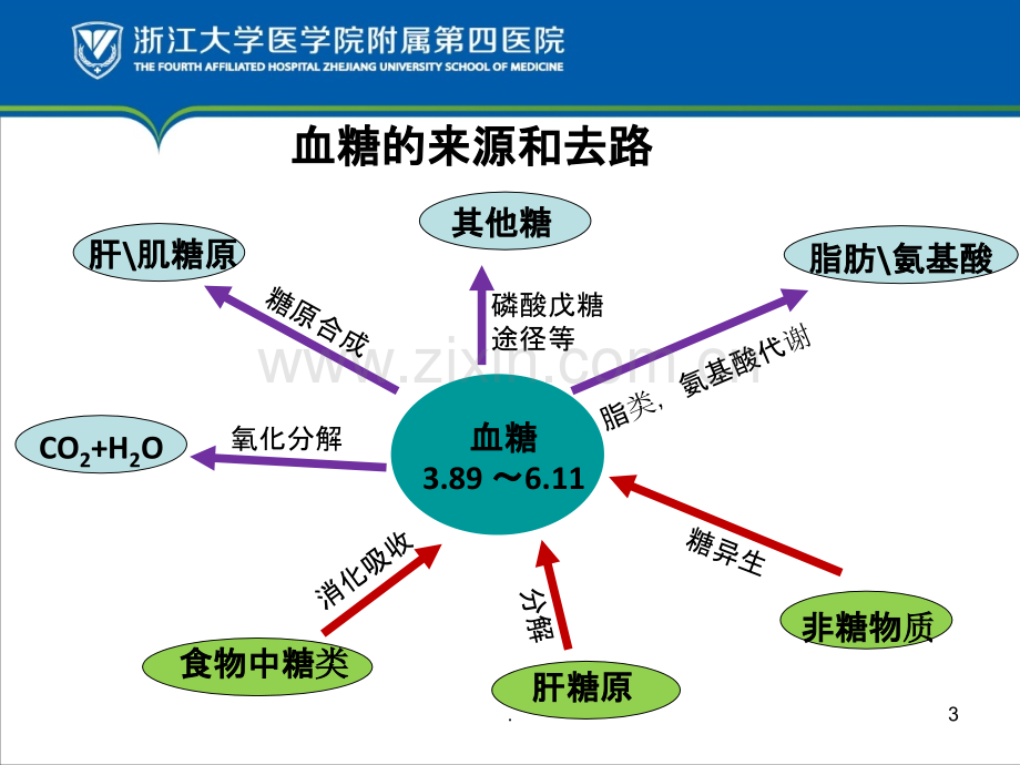 ICU患者的血糖监控PPT课件.ppt_第3页