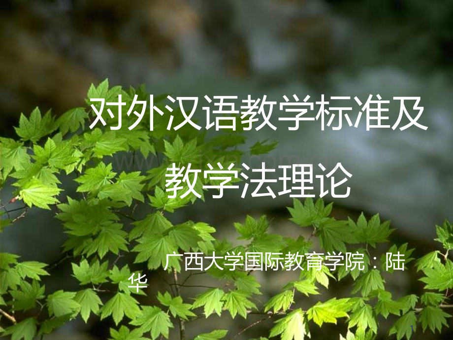 对外汉语教学标准-PPT课件.ppt_第1页