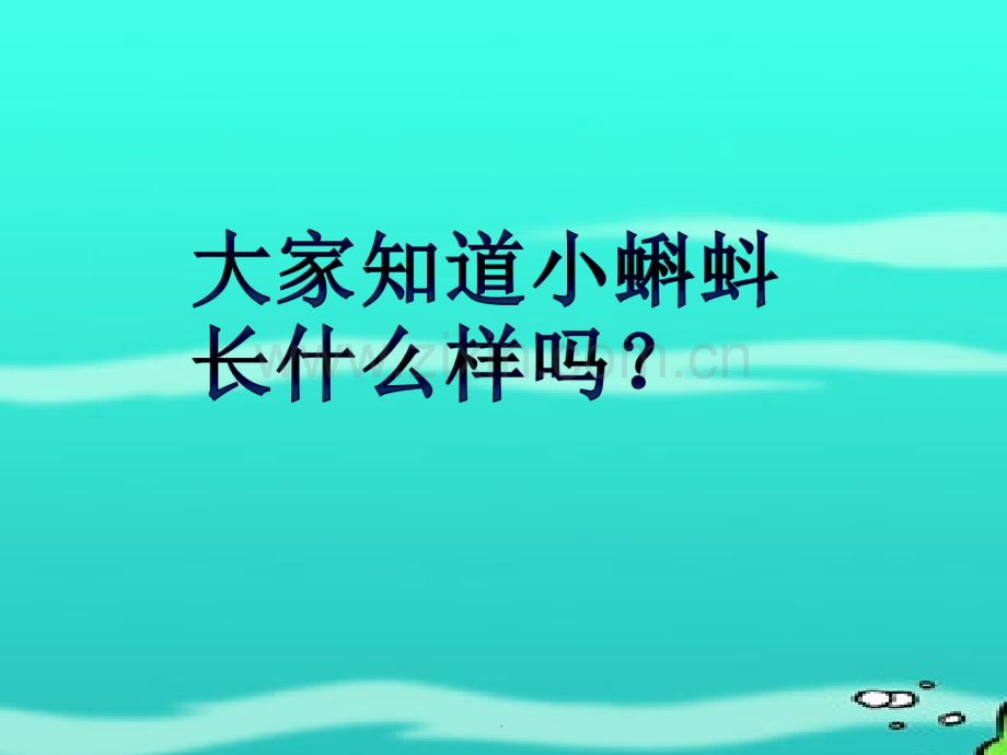 《小蝌蚪找妈妈》04PPT课件.ppt_第3页