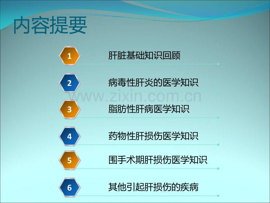 肝脏及肝病基础知识ppt课件.ppt_第2页