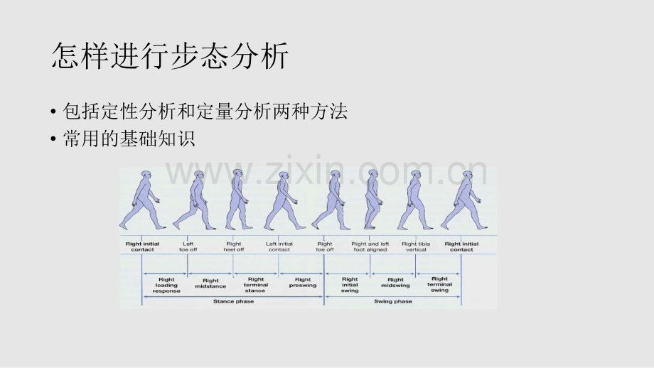 步态分析.ppt_第3页