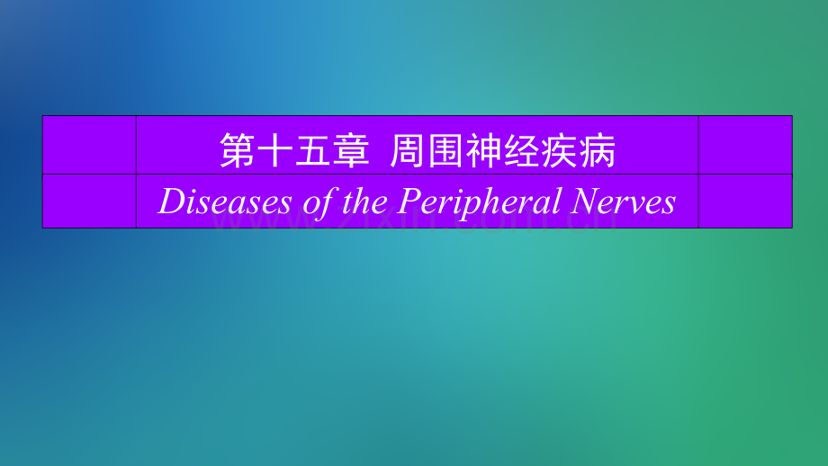 周围神经疾病.ppt_第1页