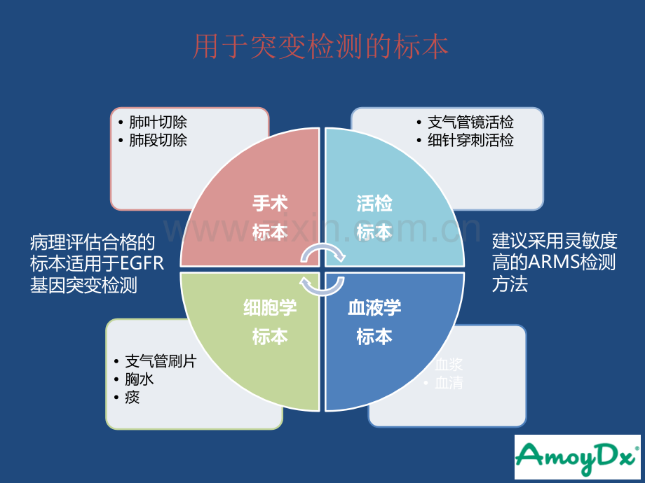 肿瘤基因突变检测标本要求ppt课件.ppt_第2页