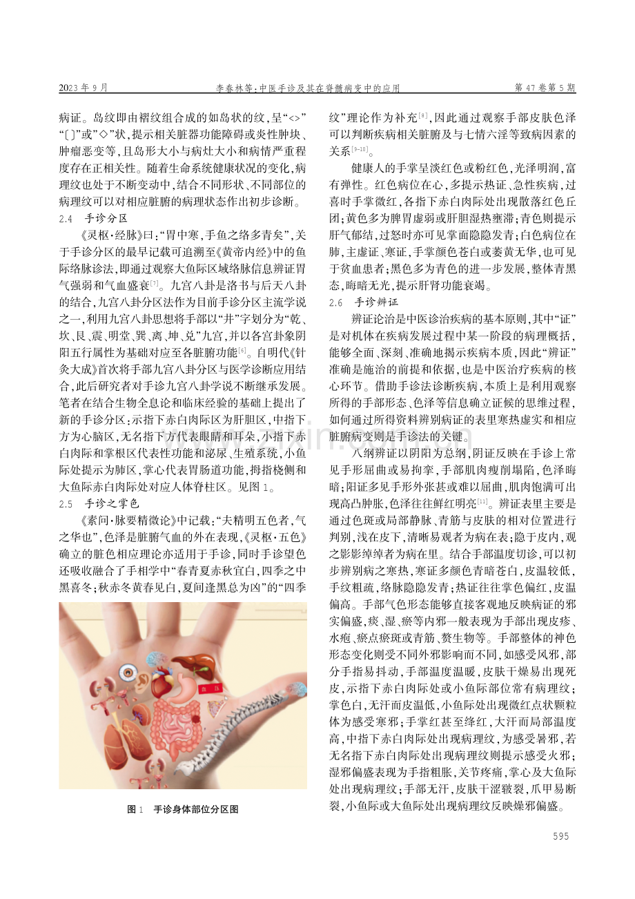 中医手诊及其在脊髓病变中的应用.pdf_第3页