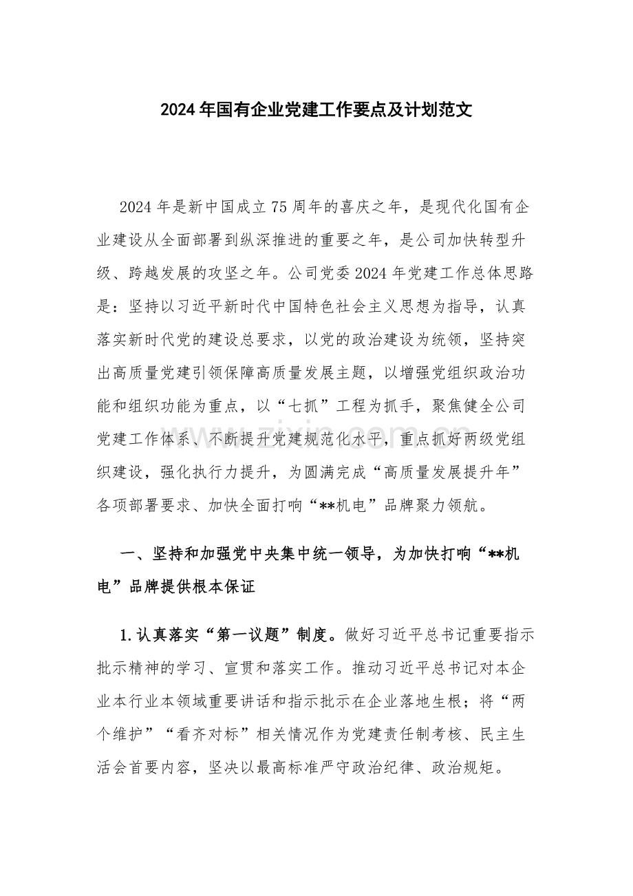 2024年国有企业党建工作要点及计划范文.docx_第1页