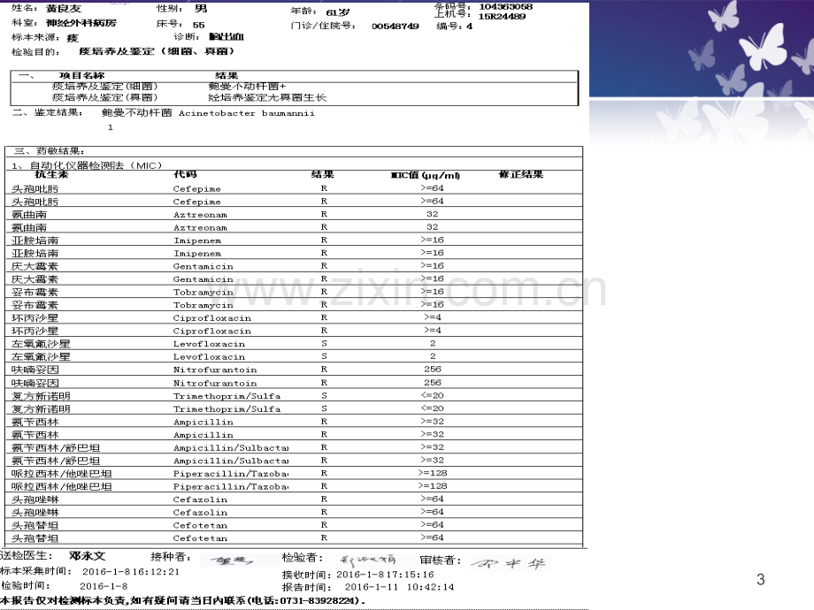 鲍曼不动杆菌修改版本ppt课件.ppt_第3页