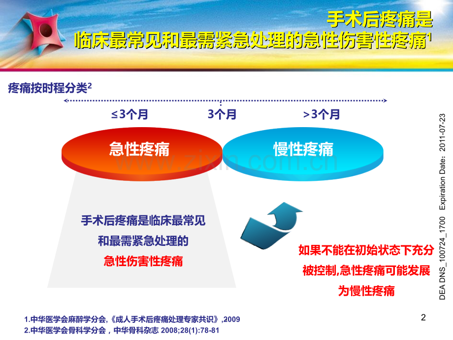 多模式镇痛篇PPT课件.ppt_第2页