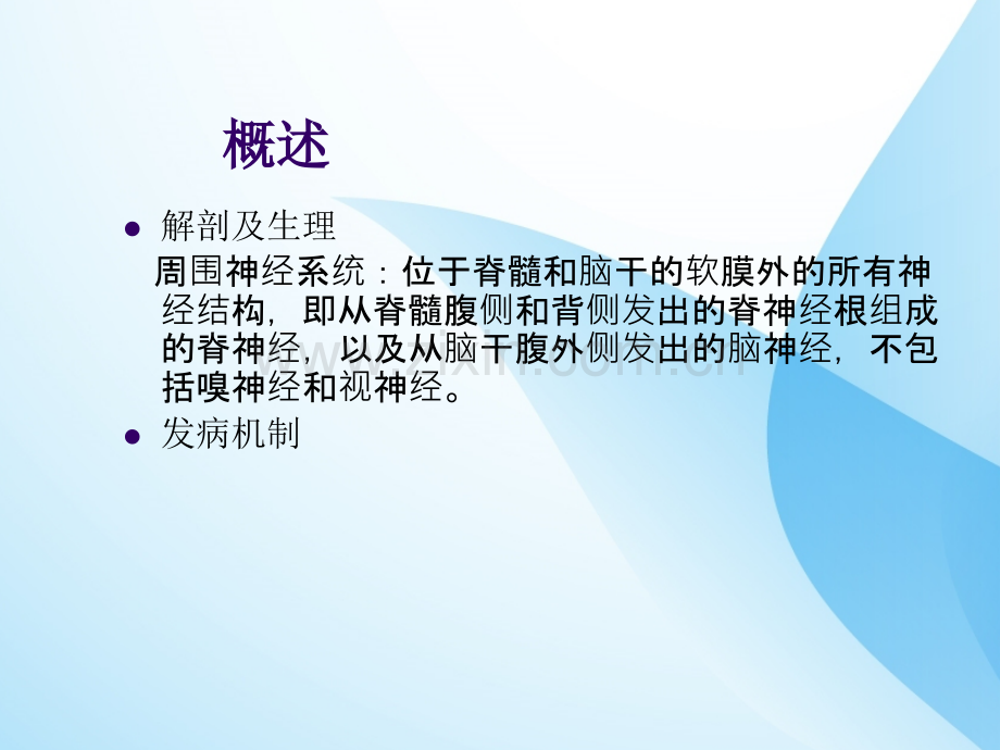 周围神经疾病的一些细节性知识.ppt_第3页